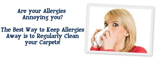 Carpet Cleaning Hayward, CA