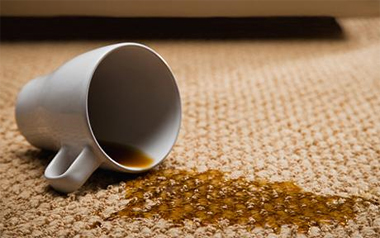 Carpet Cleaning Hayward, CA